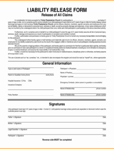 Professional Liability Release Form Template Pdf Example