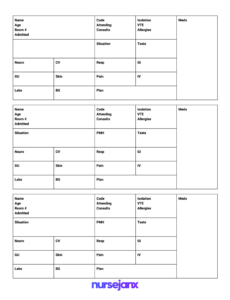 24 Hour Nursing Shift Report Template Pdf