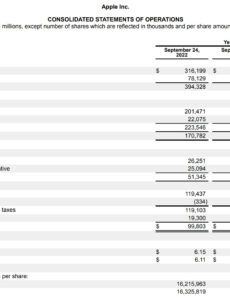 Best Profit And Loss Report Template  Example