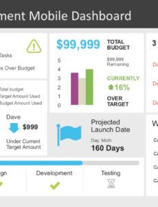 Best Project Management Executive Project Status Report Template Excel