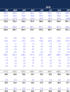 Blank Profit And Loss Report Template