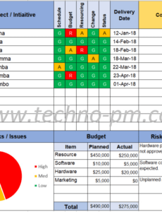 Blank Project Management Executive Project Status Report Template Doc