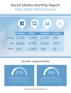 Blank Social Media Performance Report Template Doc