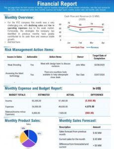 Costum Business Monthly Financial Report Template Word Example