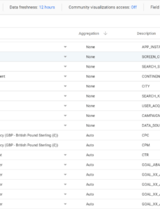 Costum Google Data Studio Seo Report Template Pdf Example