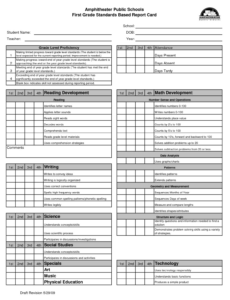 Costum Pre Kindergarten Report Card Template Doc Sample