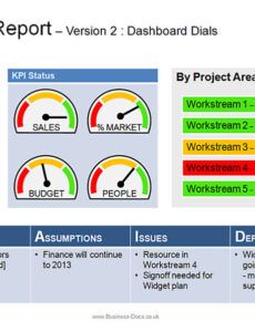 Costum Project Management Executive Project Status Report Template Excel Example