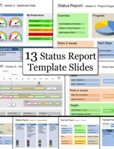 Costum Project Management Project Status Report Template  Example
