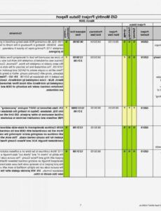 Costum Project Management Project Status Report Template Pdf