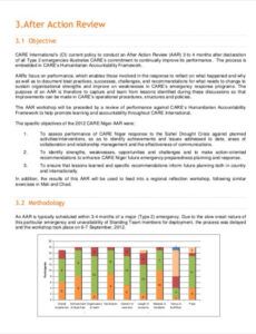 Costum Simple After Action Report Template Doc