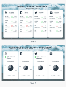 Costum Social Media Performance Report Template Doc