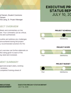 Editable Executive Project Status Report Template  Sample