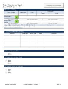 Editable Executive Project Status Report Template Word Sample