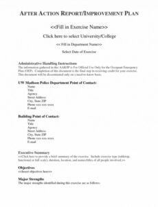 Editable Fema After Action Report Template Doc Sample