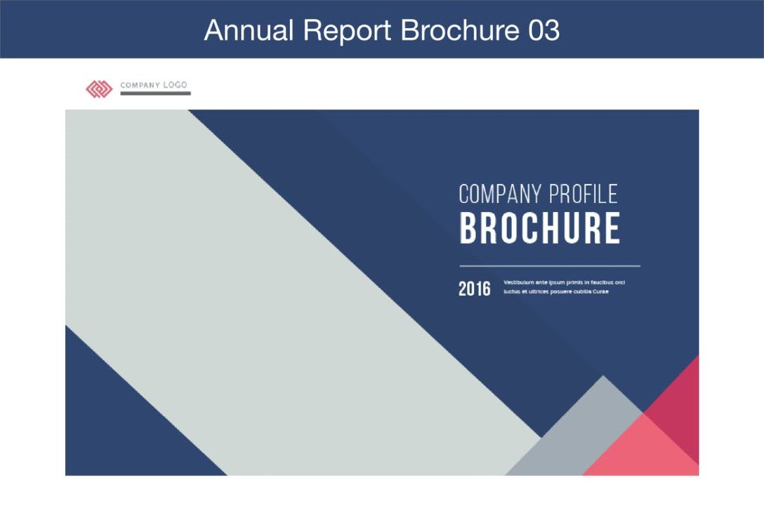 Editable Non Profit Annual Report Template Doc Sample
