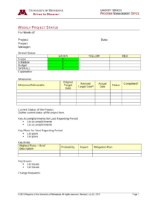 Editable Weekly Project Status Report Template Pdf Sample