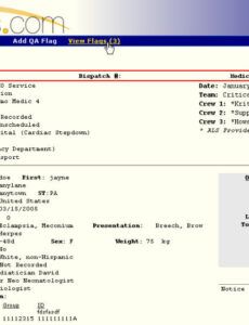 Ems Patient Care Report Narrative Template Excel Example