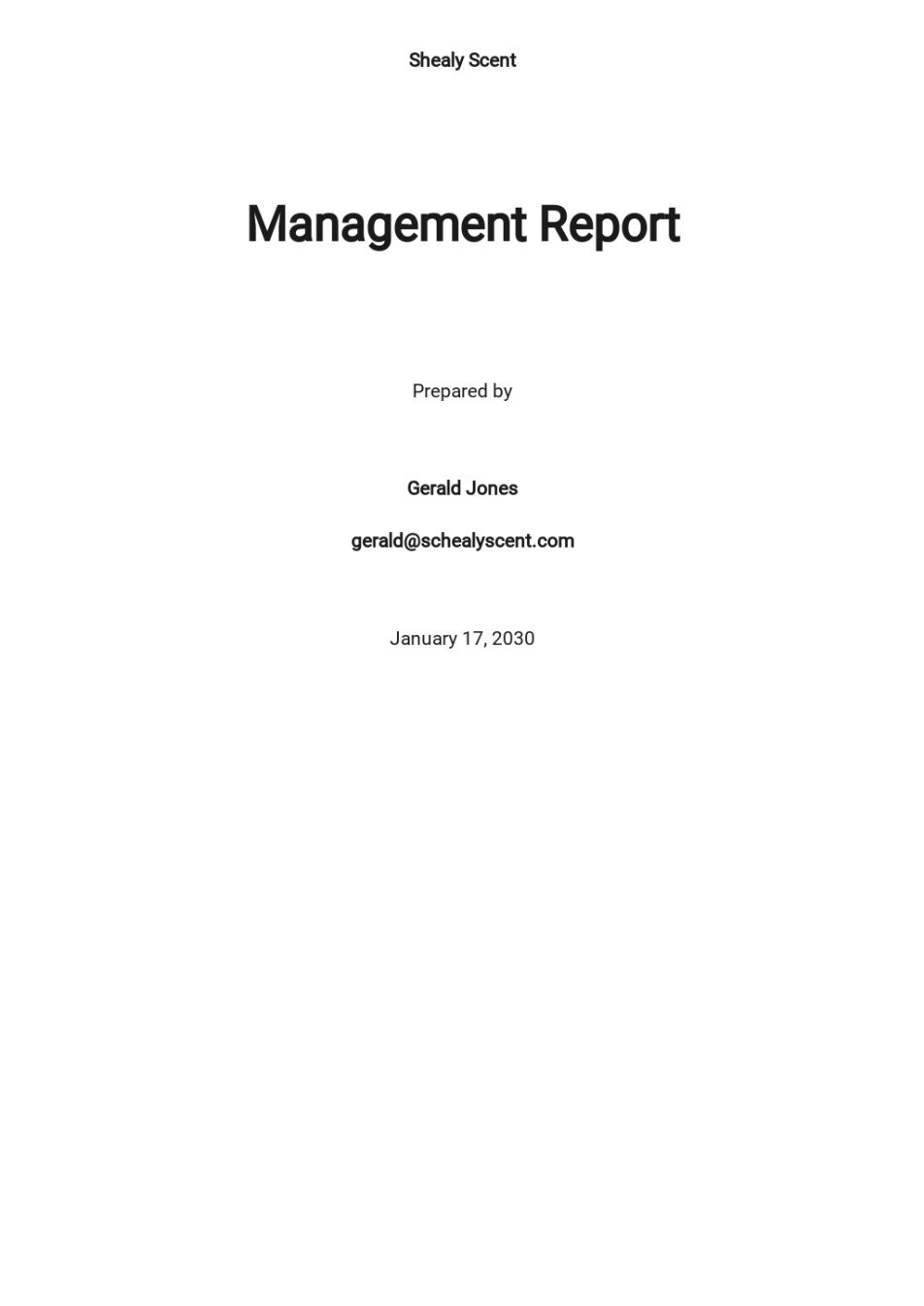 Free Business Monthly Financial Report Template Excel Example