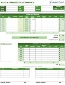 Free Travel And Expense Report Template