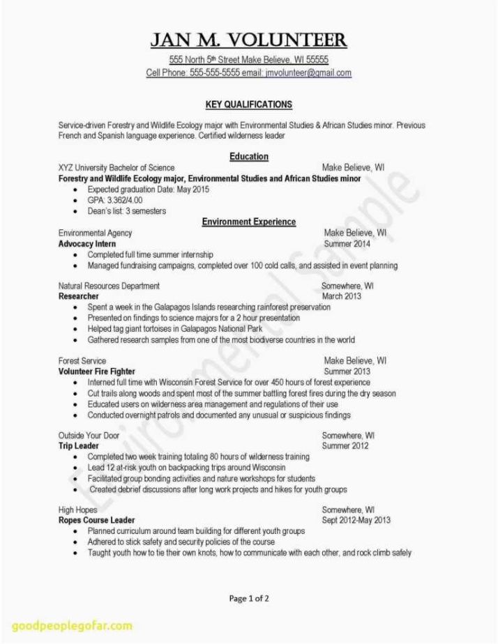 Marine Corps Book Report Template Excel Sample