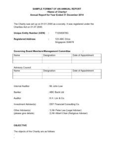 Printable Non Profit Annual Report Template Excel