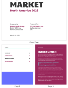 Printable Real Estate Market Report Template Word Example