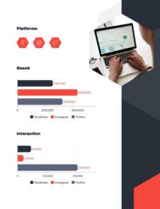 Printable Social Media Analytics Report Template Pdf Example