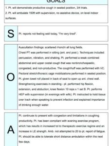 Professional Ems Patient Care Report Narrative Template Excel Example