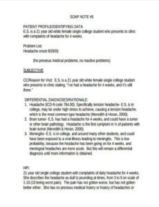 Professional Ems Patient Care Report Narrative Template Pdf