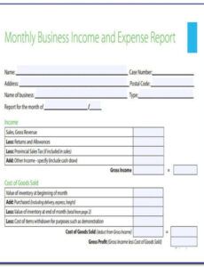 Professional Expense And Income Report Template Excel