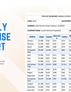 Professional Google Sheets Expense Report Template Pdf Example