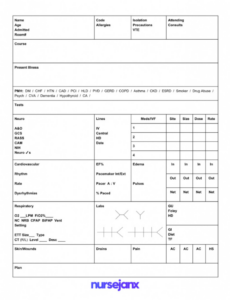 Professional Icu Nurse Report Sheet Template Doc Sample