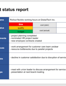 Professional Project Management Executive Project Status Report Template Doc Example