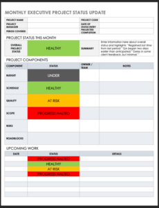 Professional Project Management Executive Project Status Report Template Excel Sample