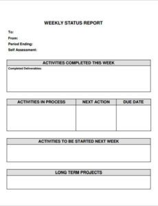 Professional Weekly Project Status Report Template Doc Example