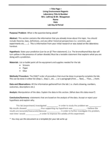 Title Page Lab Report Template  Sample