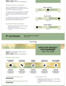 Weekly Executive Project Status Report Template Doc Sample