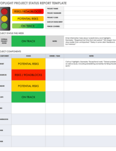 Weekly Executive Project Status Report Template Pdf