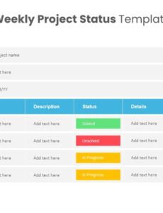 Agile Project Weekly Status Report Template Excel Sample