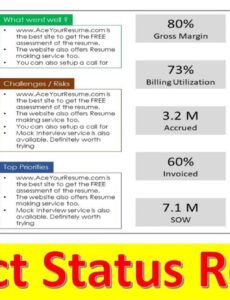 Best Agile Daily Status Report Template Doc Example