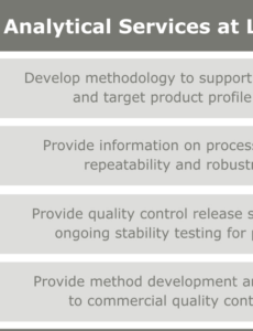 Best Analytical Method Development Report Template Word Sample