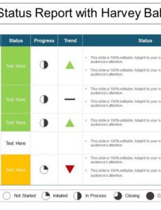 Costum Agile Project Status Report Template Pdf