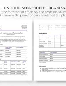 Free Accounts Payable Aging Report Template Doc Example