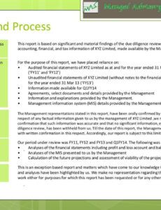 Free Acquisition Due Diligence Report Template Word Example