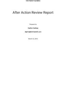 Professional After Action Review Report Template