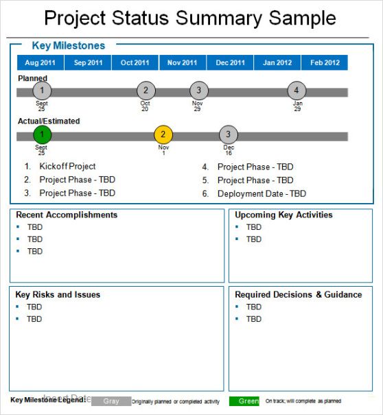 Professional Agile Project Weekly Status Report Template  Example