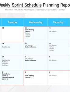 Professional Agile Sprint Weekly Status Report Template Doc Example