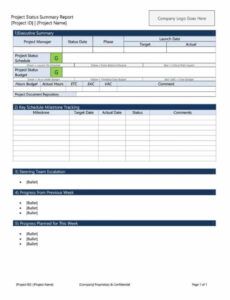 Army Daily Status Report Template Pdf