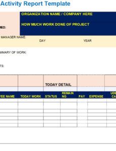 Blank Army Daily Status Report Template  Example