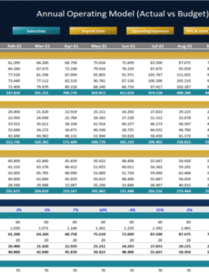 Budget To Actual Report Template Pdf Example